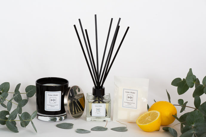 NEW | TIMELESS RANGE | TIMELESS COLLECTION